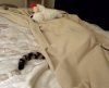 tail.jpg