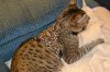 dsc_0003 small.jpg