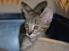 dsc_0087 crop.jpg