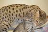 dsc_0082.small.jpg
