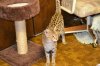 dsc_0012 small.jpg