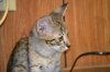 dsc_0017 small.jpg