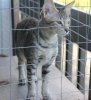091614-diablo.jpg