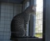 091614-diablo-2.jpg