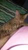 20140919_140628.jpg