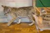 dsc_0019 small.jpg