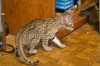 dsc_0030 small.jpg