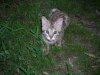 DSCN0558.JPG
