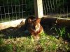 DSCN0726.JPG