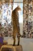 dsc_0051 small.jpg