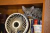 dsc_0055 small.jpg