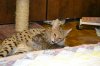 dsc_0066 small.jpg