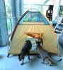 tent2.jpg