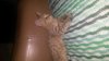 20140920_110853.jpg