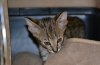 dsc_0086 crop.jpg