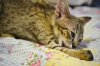 dsc_0079 small.jpg