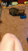 Close.png