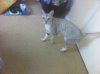 Yuki Asks About Door.JPG