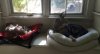 WindowSeatKitties.jpg