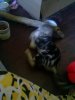 CAM00134.jpg