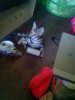 CAM00138.jpg