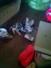CAM00139.jpg