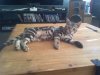 CAM00233.jpg