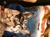 20130223_235818.jpg