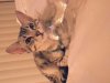 20130411_225835.jpg