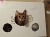 box.jpg