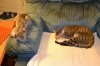 dsc_0006 small.jpg