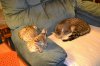 dsc_0003 small.jpg