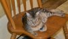 dsc_0004 crop.jpg
