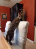 on chair.jpg