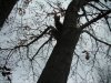DSCN0748.JPG