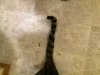 Tail 3.jpg