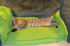 dsc_0006 small.jpg