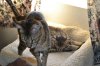 dsc_0012 small.jpg