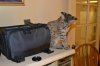 dsc_0022 small.jpg