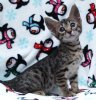 rafiki 6 weeks 6.jpg
