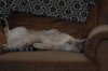 DSC_0152.jpg