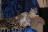 DSC_0273.jpg