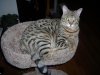 DSCN0758.JPG