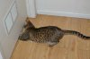 dsc_0033.small.jpg dsc_0033.small.jpg