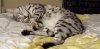 sweet asleep.jpg