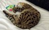 asleep 1.jpg