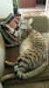 img20141121_092604.jpg