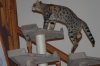 YSC_0174.JPG YSC_0174.JPG