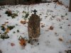 DSCN0761.JPG