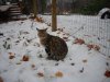 DSCN0763.JPG